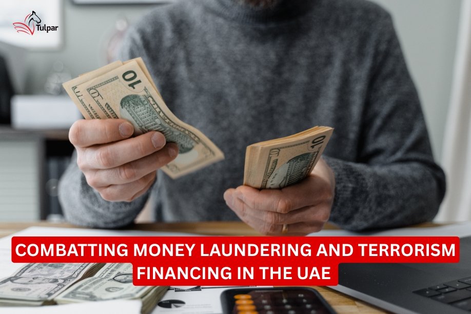 Combatting Money Laundering and Terrorism Financing in the UAE